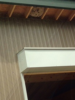 ac5bf29b-99f7-4498-a3db-a16029bb6676